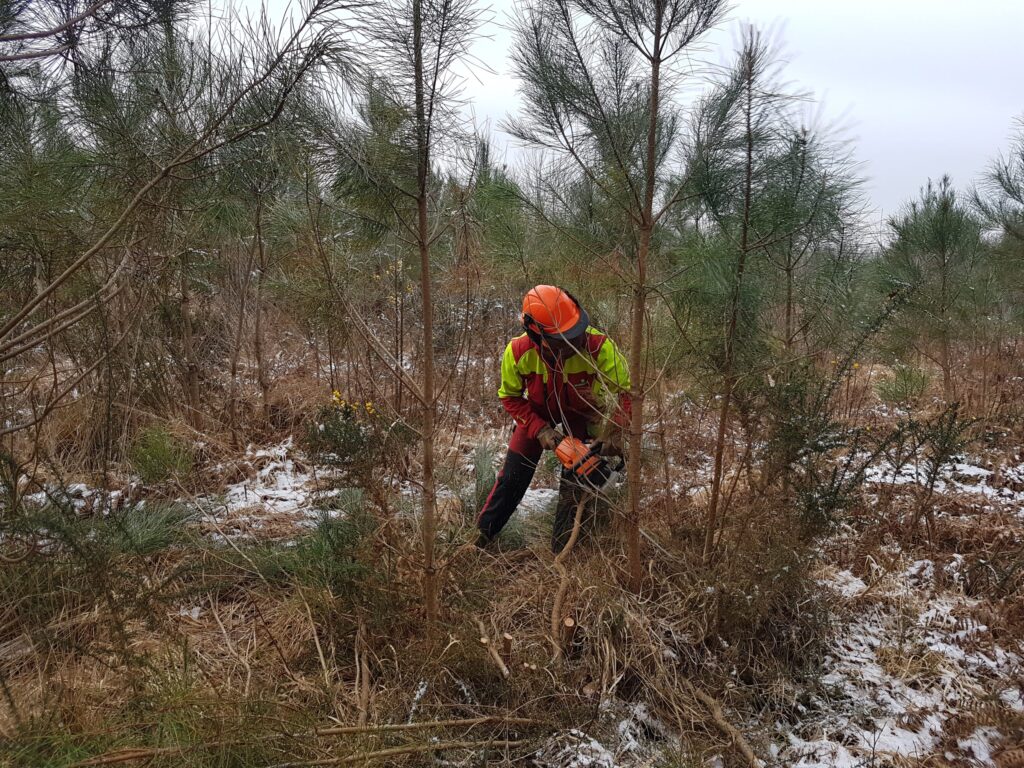 20210211 091517 scaled 1